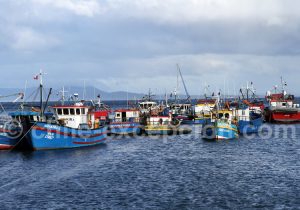 12-punta-arenas Punta Arenas, Chili