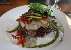 Brama australis (Reineta)