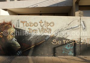 12-22 Pensée transmise par l'art de rue