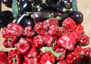 Légumes du soleil, Chili