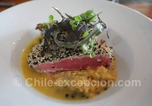 Thon du Pacifique au sésame