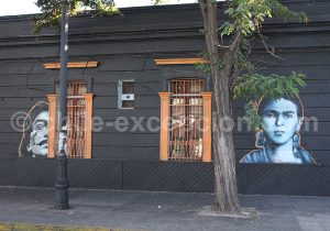 28-7 Les artistes chiliens aiment s'inspirer et représenter des personnalités connues comme Dali et Frida.