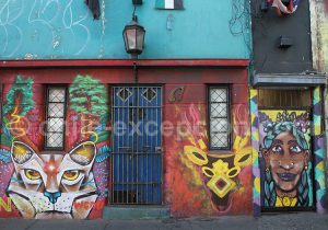 38-1 Les peintures urbaines constituent une vraie galerie d'art