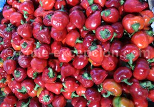 Fruits et légumes du Chili
