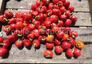 Fruits et légumes du Chili