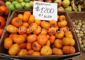 Mankakis, Fruits du Chili
