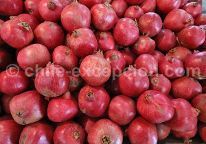 Grenade, Fruits du Chili