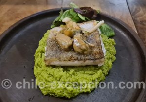 Merlu à la purée de poix