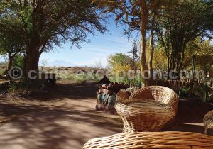 Terrasse, Casa Jardín