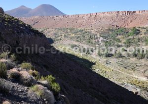 Voyage guidé Nord du Chili, Caspana