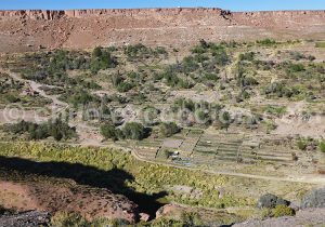 Village de l'Altiplano
