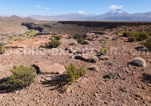 Combiné Nord du Chili, Bolivie