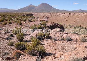 Territoire Atacameños