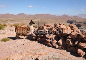 Scène de village, Caspana, Chili