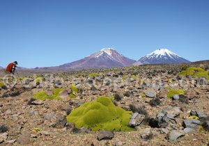 Documentaire photos dans le Nord du Chili