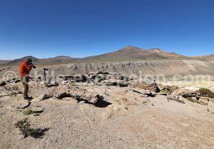 Exposition, photographie, Nord du Chili