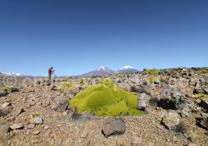 Photographe, au Chili, Amérique du Sud