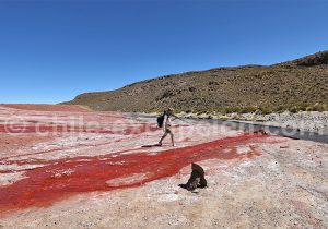 Enquête sur le terrain, désert du Chili