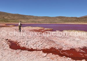 Photographie de paysage, lagunes du Nord du Chili