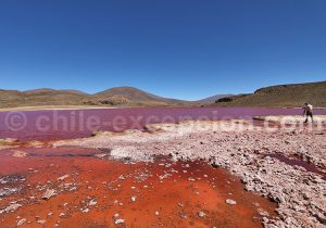 Photos de voyage, Nord du Chili