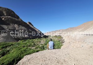 Cliché photographique, Chili