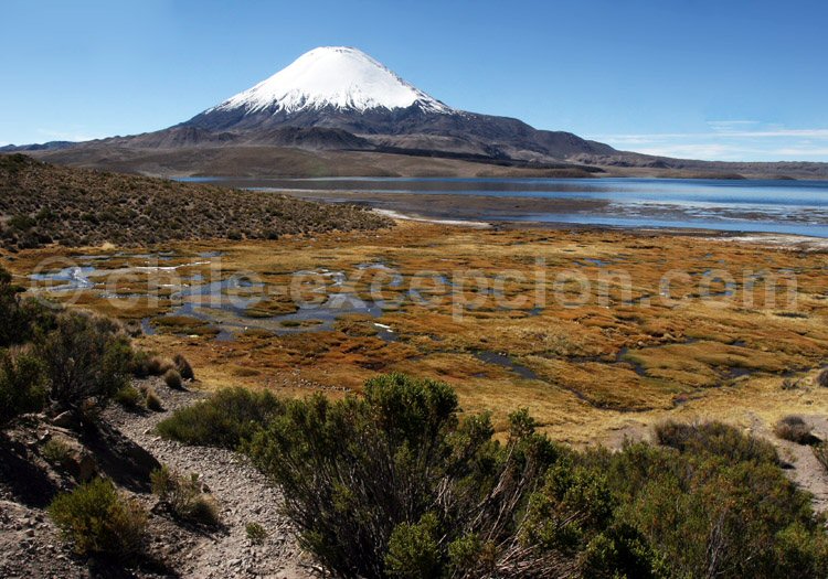 Parc-National-Lauca-volcan-Parincacota-lac-Chungará.jpg