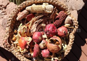 Varietés de tubercules et de maïs