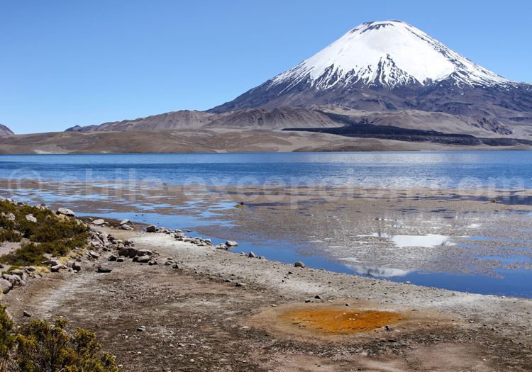 Parc National de Lauca