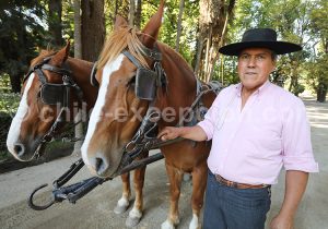 Des sourires dans le Centre du Chili