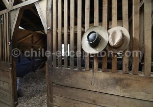 Pigment, pastel et gouache du Sud Chili