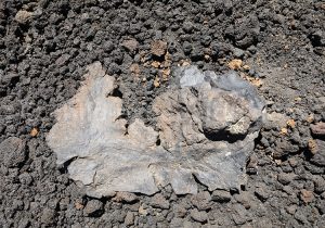 Pigment, pastel et gouache du Sud Chili