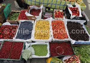 Pigment, pastel et gouache du Sud Chili