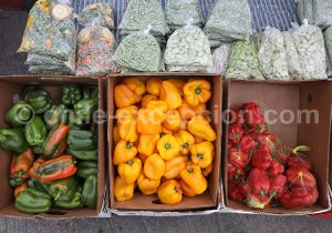 Pigment, pastel et gouache du Sud Chili