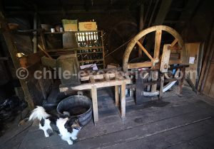 Pigment, pastel et gouache du Sud Chili