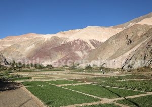 Où loger dans la vallée de Camiña, Chili