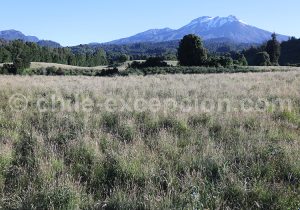 Volcan Calbuco, Chile