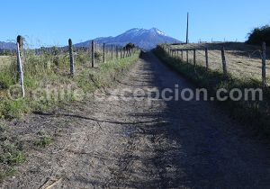 Trekking, volcan Calbuco, Chili