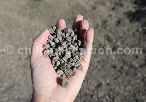 Cailloux volcaniques, volcan Calbuco