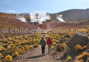 Geysers cachés, San Pédro de Atacama