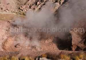Fumerolles, San Pedro de Atacama