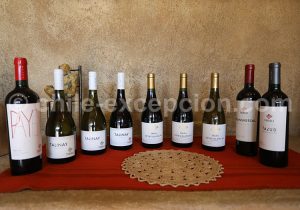 Dégustation de vins, Viña Tabali, Chili