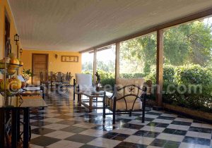 Hacienda Santa Cristina, Patio