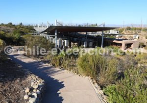 Viña Tabali, alentours d'Ovalle, Chili