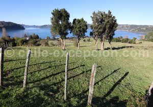 Images de la grande île de Chiloé