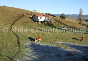 Images de la grande île de Chiloé