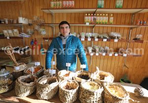 Images de la grande île de Chiloé