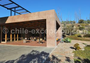 Visite guidée viña Tabali, Chili