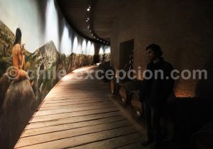 Visite guidée vigne Tabali, Chili