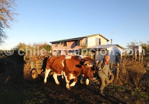 Images de la grande île de Chiloé