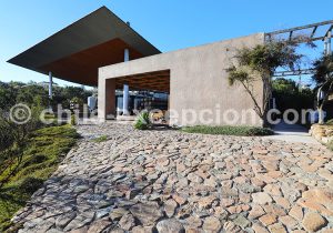 Bodega, viña Tabali, Chili